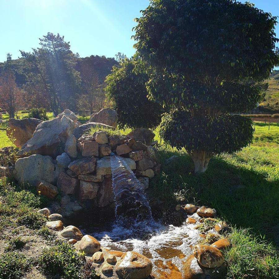 Topiary Wine Estate & Cottages Franschhoek Exterior photo